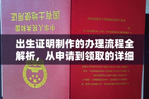 尼勒克出生证明制作的办理流程全解析，从申请到领取的详细指南